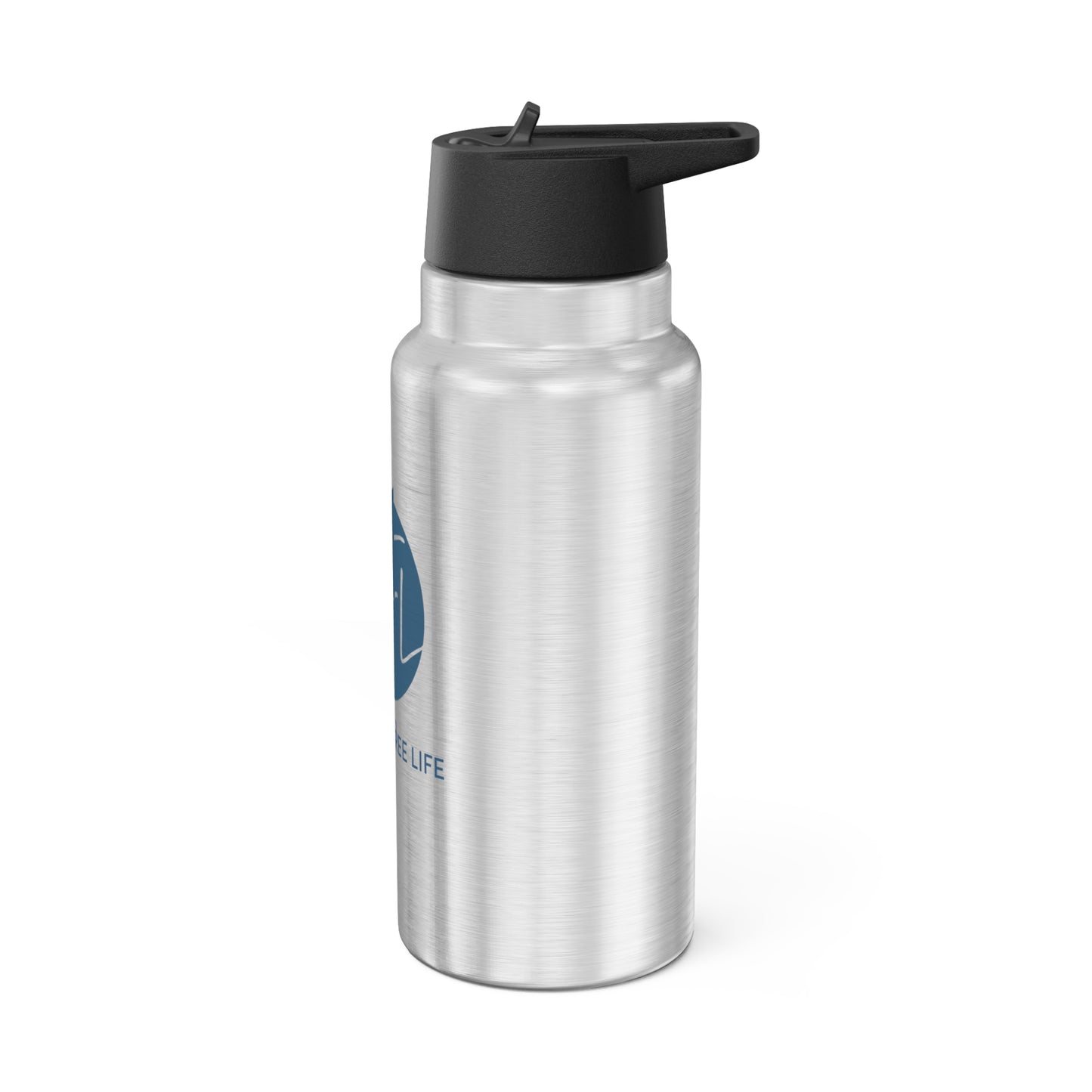 Stainless Steel Water Bottle w/ straw, 32oz