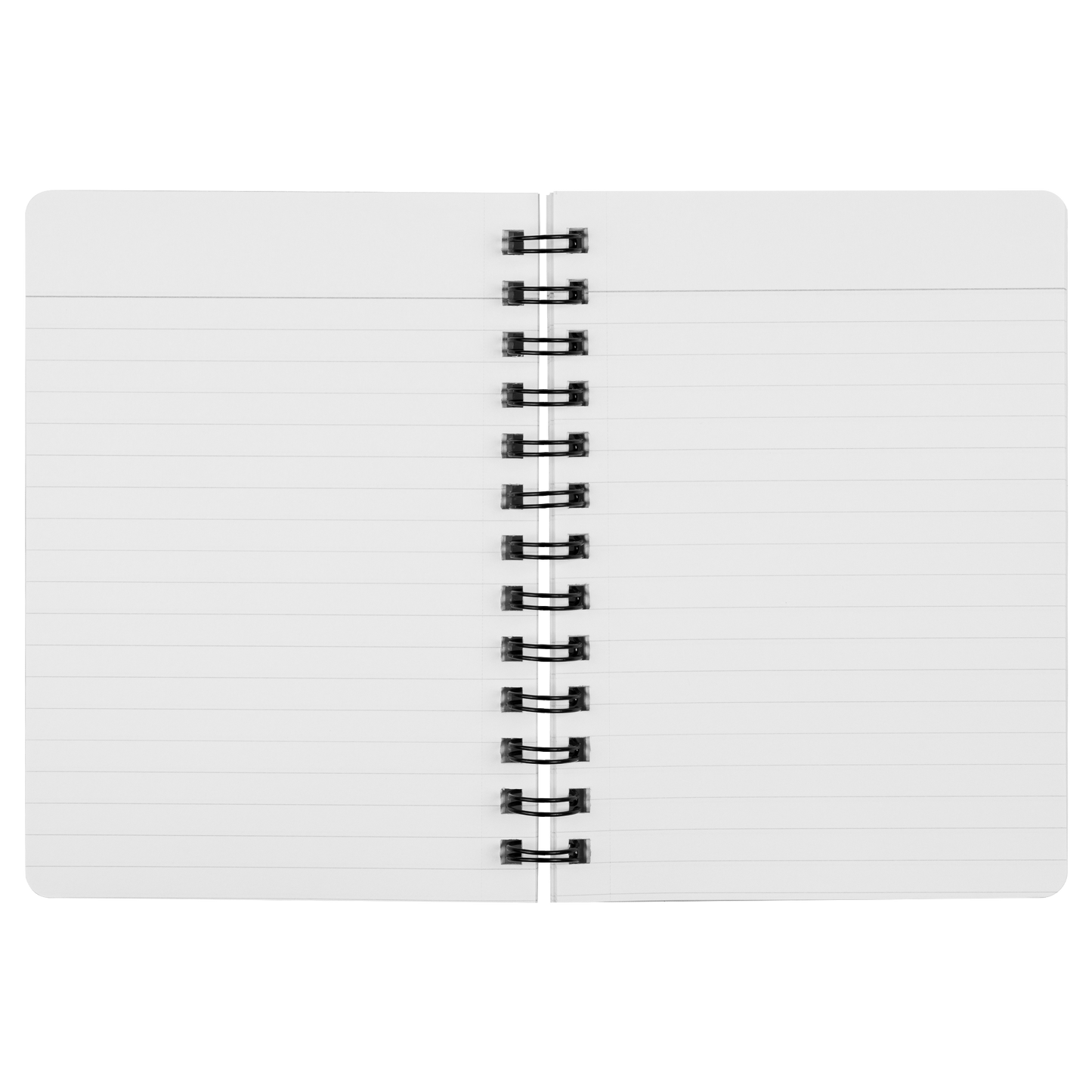 Journal_pink_SN_Open_Pages_Mockup.png