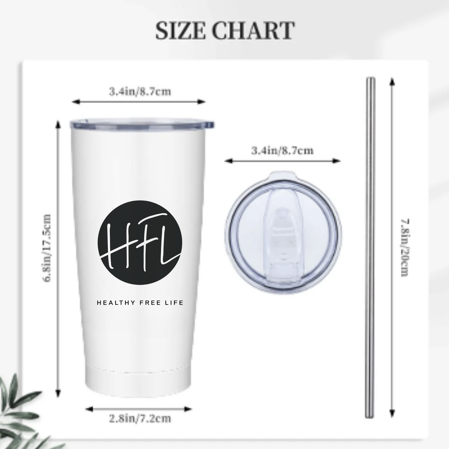 Stainless Steel Insulated Tumbler w/ Lid & Straw (20oz)