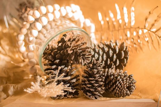 Pinecones, set of 10 - cleaned for fall decor & crafts (optional: natural cinnamon-scent)*