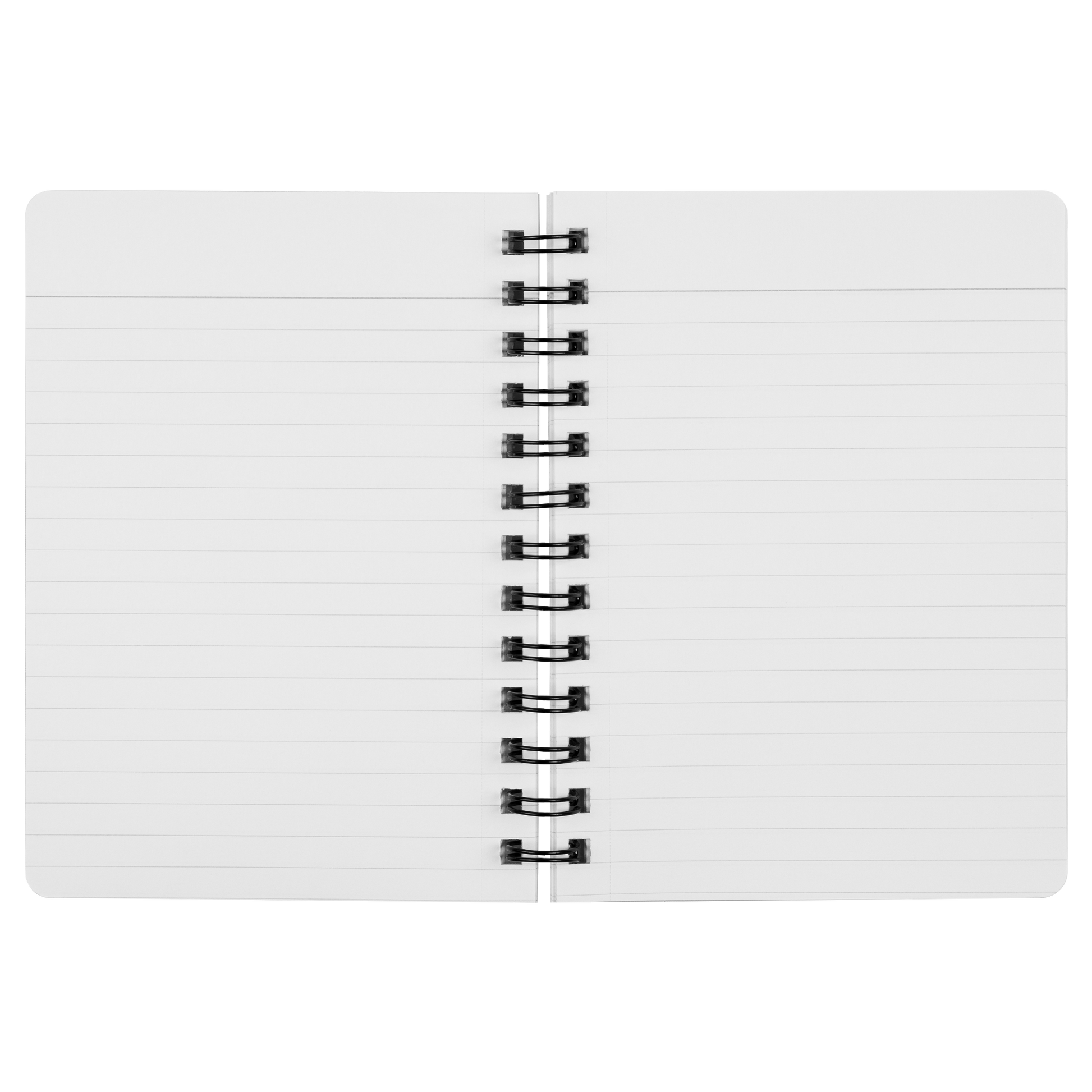 Journal_blue_SN_Open_Pages_Mockup.png